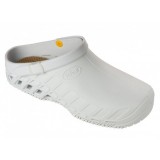 SCHOLL ZOCCOLI CLOG EVO  VARI COLORI