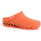 SCHOLL ZOCCOLI CLOG EVO  VARI COLORI