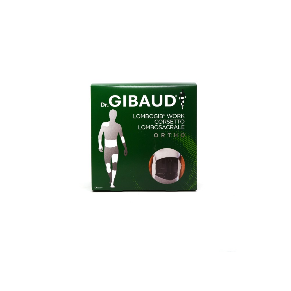GIBAUD LOMBOGIB WORK 0132