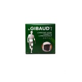 GIBAUD LOMBOGIB WORK 0132