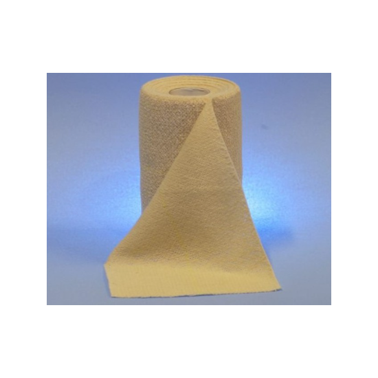 BENDA FISIOPLAST 10X450