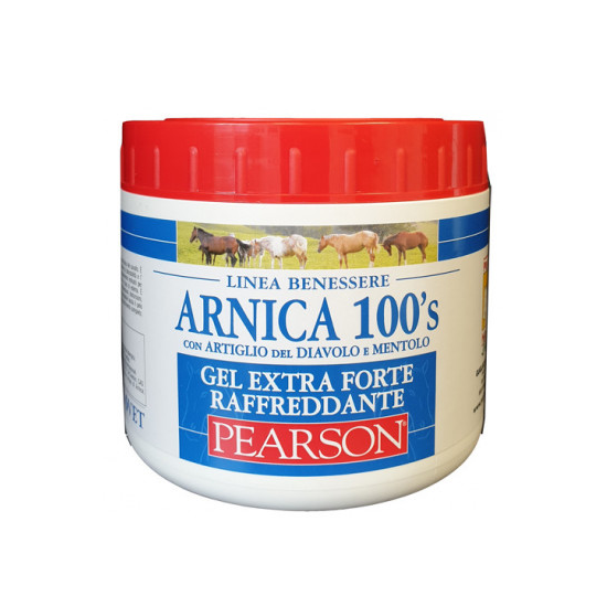 ARNICA 100'S GEL EX FT RAFF500
