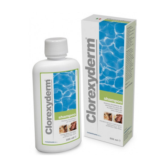 CLOREXYDERM SHAMPOO 250ML