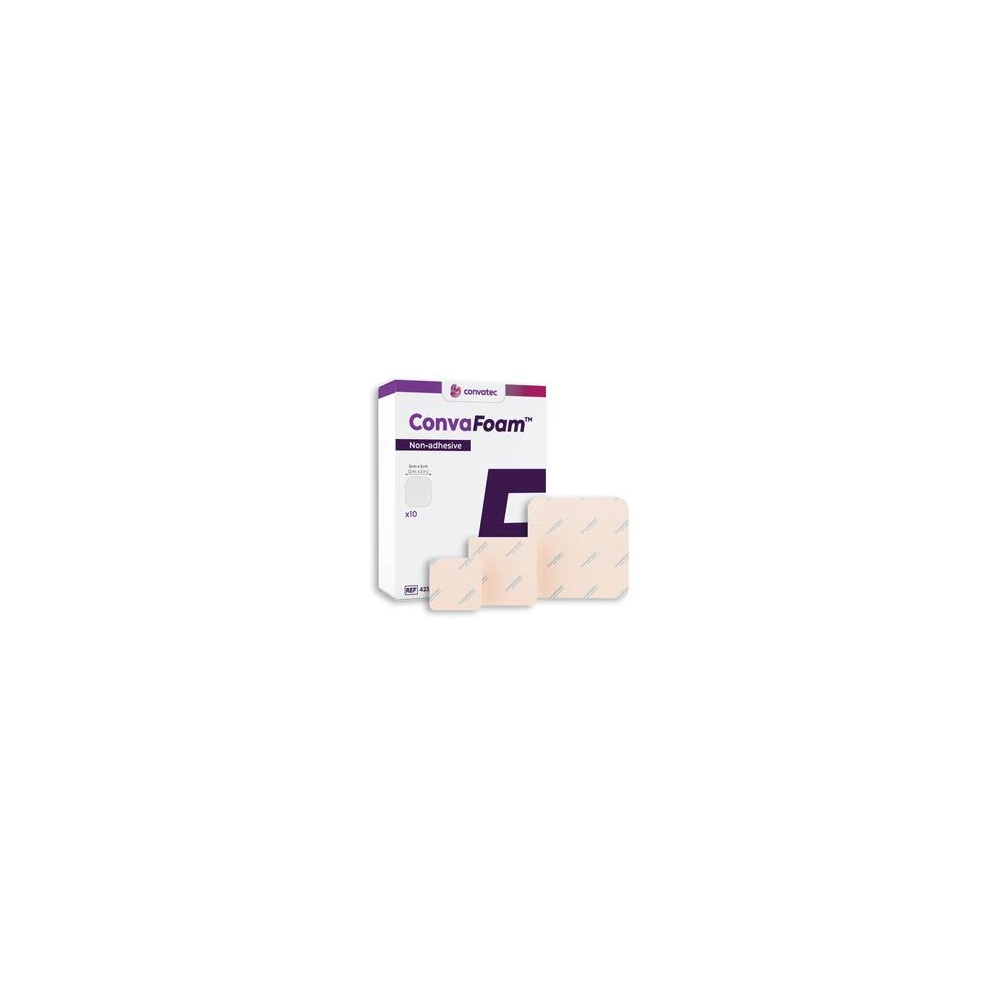CONVAFOAM NON ADESIVO 12,5X125 - 10PZ 423356