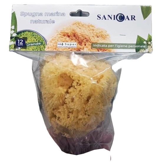 SANICAR SPUGNA MARE GRANDE