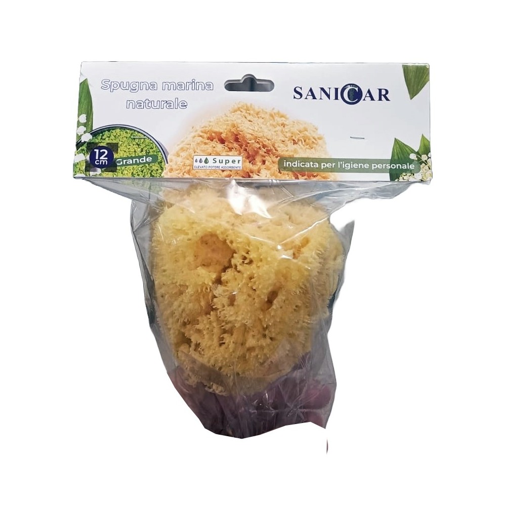 SANICAR SPUGNA MARE GRANDE
