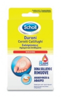 CER.CALLIFUGHI DURONI SCHOLL