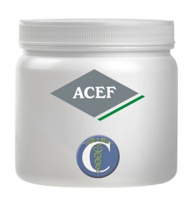 IDROSSIPROPILCELLULOSA KG.1