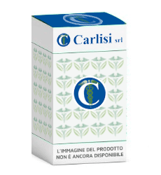 SET 3 CINGHIE PER IMMMOBILIZZARE