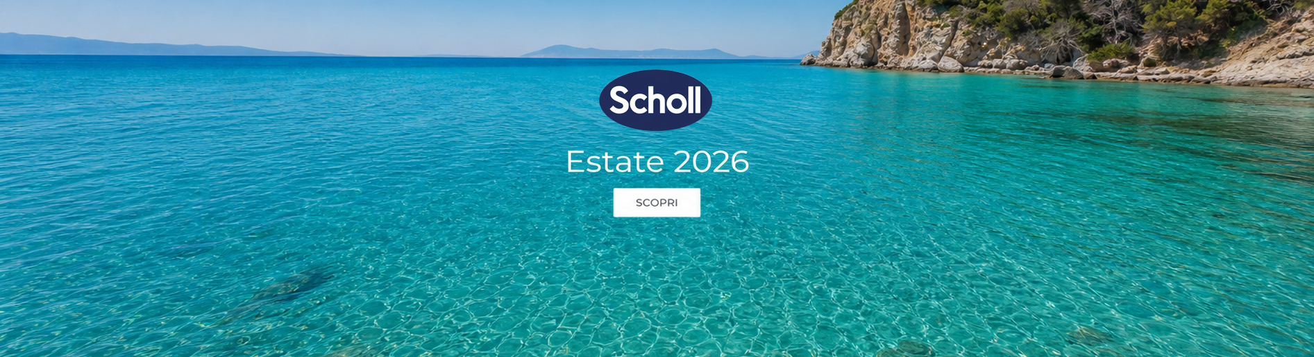 dr scholl bnnrsky estate 2026