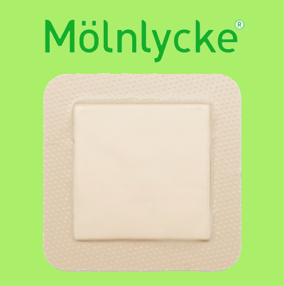molnickemdcznvnztnew1