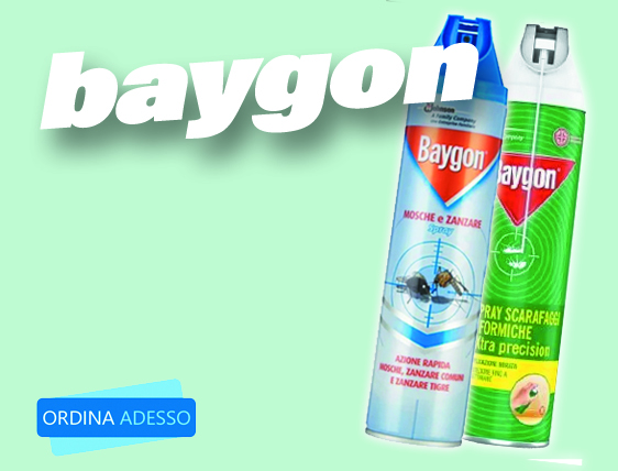 baygon 2025 bnnrctgr new1