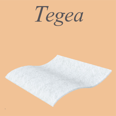 tegeamdcznvnzt2